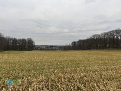 Viersen Hiking (11-02-2025)