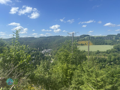 from Luxembourg to Tenneville - Day 2 - from Diekirch to Wiltz