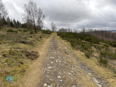 Vielsalm Hiking (22-02-2025)