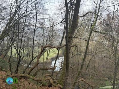Hike from Hückelhoven to Aachen (29-12-2025)