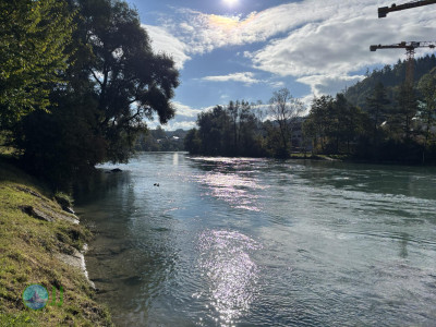Megamarsch Bern 2024