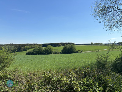 On foot to the Ardennes - Day 3 - From Grandmenil to Roumont