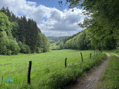 Ultramarsch Eifel X-trem 2025