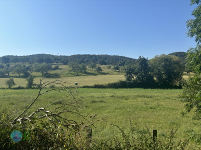 Harzer Klosterwanderweg - Day 2 - From Blankenburg to Ilsenburg