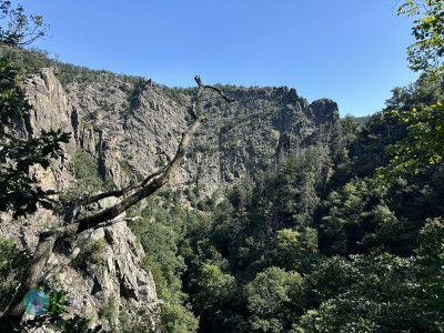 Harzer-Hexen-Stieg - Day 3 - From Neuwerk to Thale