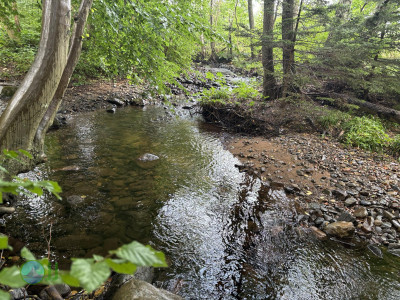Harzer Klosterwanderweg - Day 3 - From Ilsenburg to Goslar