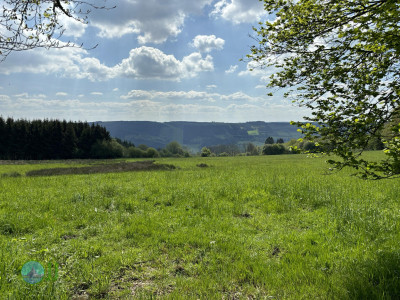 On foot to the Ardennes - Day 2 - From Tiège to Grandmenil