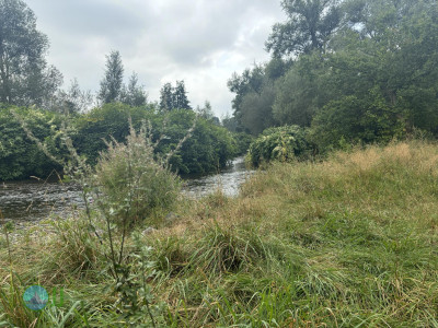 Harzer Klosterwanderweg - Day 3 - From Ilsenburg to Goslar
