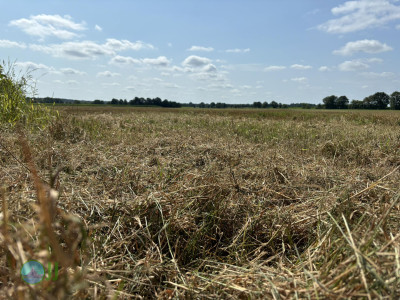Megamarsch #WirGehenWeiter - Sommer 2024 - Day 1 - From Coevorden to Nordhorn