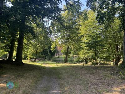 Harzer Klosterwanderweg - Day 2 - From Blankenburg to Ilsenburg