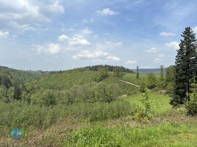 On foot to the Ardennes - Day 2 - From Tiège to Grandmenil