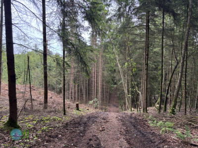 from Luxembourg to Tenneville - Day 1 - from Luxembourg to Diekirch