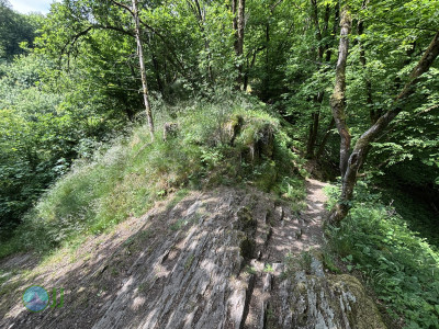 from Luxembourg to Tenneville - Day 2 - from Diekirch to Wiltz