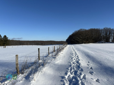 Nideggen - Heimbach loop Hiking (11-01-2025)