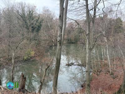 Hückelhoven - Erkelenz loop Hiking (12-12-2025)