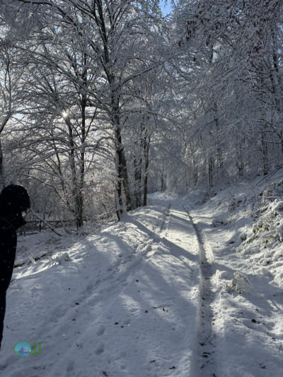 Nideggen - Heimbach loop Hiking (11-01-2025)