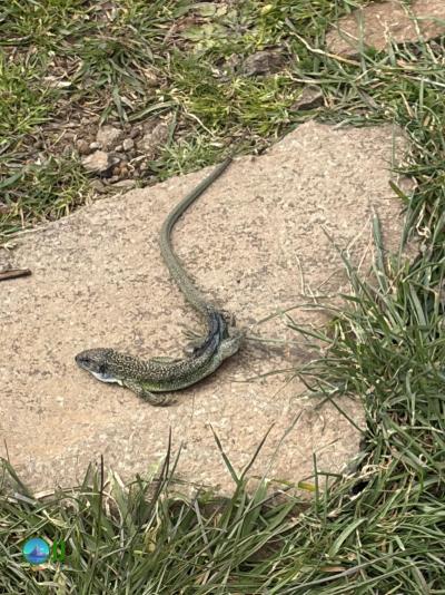 Hike to, and climbing La Roche de Gourdon