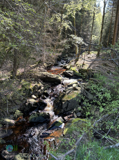 On foot to the Ardennes - Day 3 - From Grandmenil to Roumont