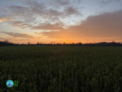 Hike from Hückelhoven to Maaseik (24-01-2026)