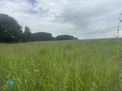 from Luxembourg to Tenneville - Day 3 - from Wiltz to Tenneville