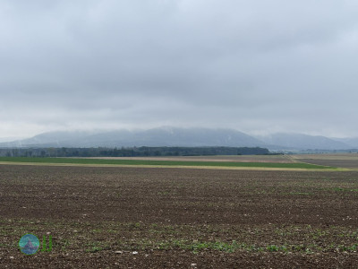 Harzer Klosterwanderweg - Day 3 - From Ilsenburg to Goslar