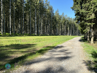 On foot to the Ardennes - Day 3 - From Grandmenil to Roumont