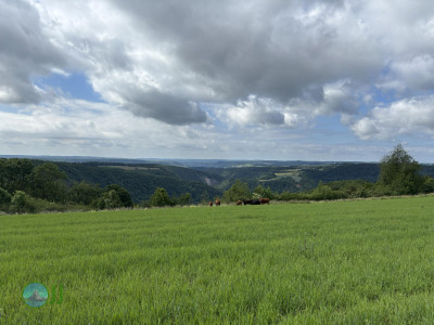 from Luxembourg to Tenneville - Day 2 - from Diekirch to Wiltz