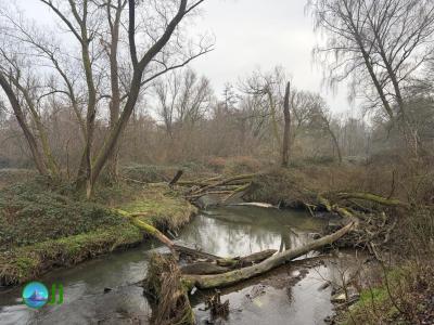 Hike from Hückelhoven to Aachen (29-12-2025)