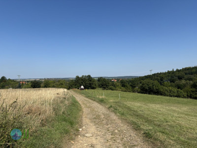 Harzer Klosterwanderweg - Day 1 - From Quedlinburg to Blankenburg