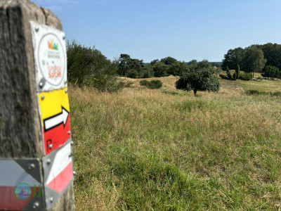 Megamarsch #WirGehenWeiter - Sommer 2024 - Day 1 - From Coevorden to Nordhorn
