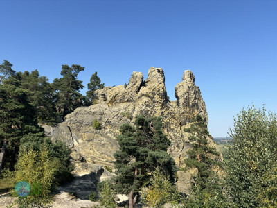 Harzer Klosterwanderweg - Day 1 - From Quedlinburg to Blankenburg