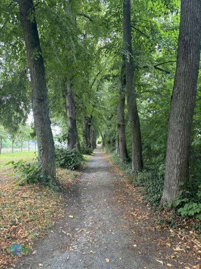 Harzer Klosterwanderweg - Day 3 - From Ilsenburg to Goslar