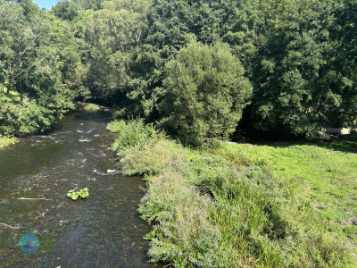 Harzer-Hexen-Stieg - Day 3 - From Neuwerk to Thale