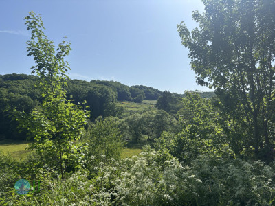 from Luxembourg to Tenneville - Day 3 - from Wiltz to Tenneville