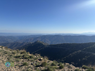 La Souche - Valgorge loop Hiking (07-04-2025)