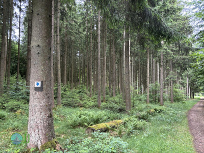 from Luxembourg to Tenneville - Day 1 - from Luxembourg to Diekirch