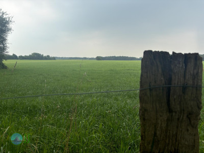 Megamarsch #WirGehenWeiter - Sommer 2024 - Day 2 - Nordhorn Bad Bentheim
