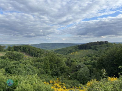Ultramarsch Eifel X-trem 2025