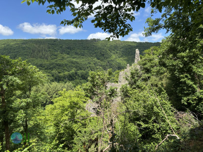 from Luxembourg to Tenneville - Day 2 - from Diekirch to Wiltz