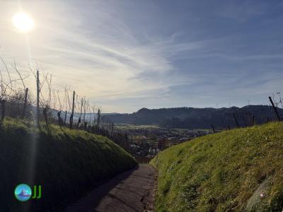 Gengenbach - Oberkirch loop Hiking (13-11-2025)