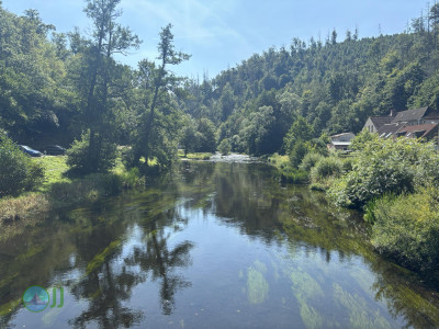 Harzer-Hexen-Stieg - Day 3 - From Neuwerk to Thale
