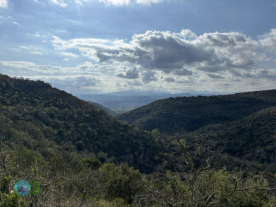 Saint-Privat - Saint-Laurent-sous-Coiron loop Hiking (09-04-2025)