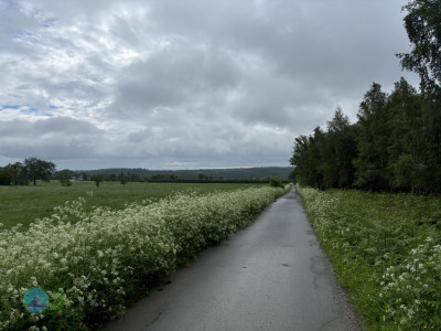 Ultramarsch Xtrem Eifel 2024