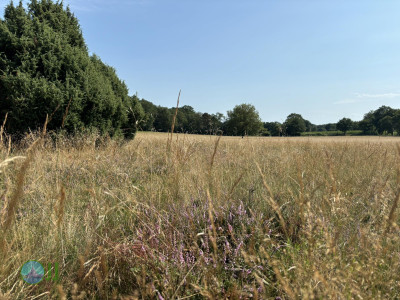 Megamarsch #WirGehenWeiter - Sommer 2024 - Day 1 - From Coevorden to Nordhorn