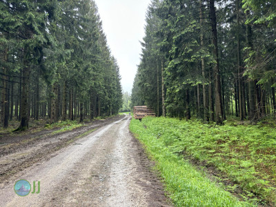 Ultramarsch Xtrem Eifel 2024