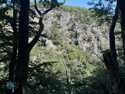 Harzer-Hexen-Stieg - Day 3 - From Neuwerk to Thale