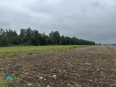 Harzer Klosterwanderweg - Day 3 - From Ilsenburg to Goslar