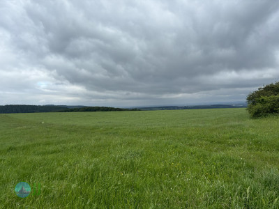 Ultramarsch Xtrem Eifel 2024