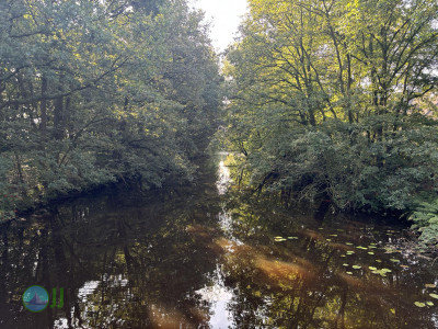 Megamarsch #WirGehenWeiter - Sommer 2024 - Day 1 - From Coevorden to Nordhorn