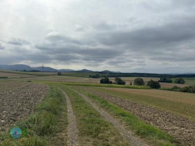 Harzer Klosterwanderweg - Day 3 - From Ilsenburg to Goslar
